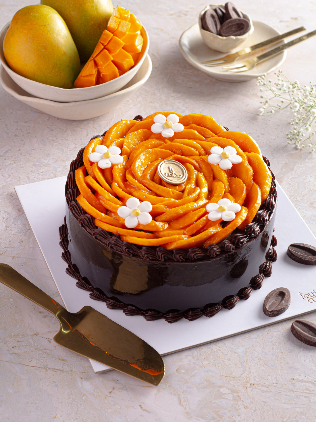 Chocolate &amp; Mango Cake